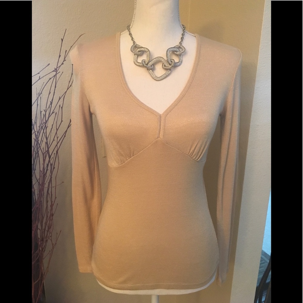 INC International Concepts top with silver shimmer